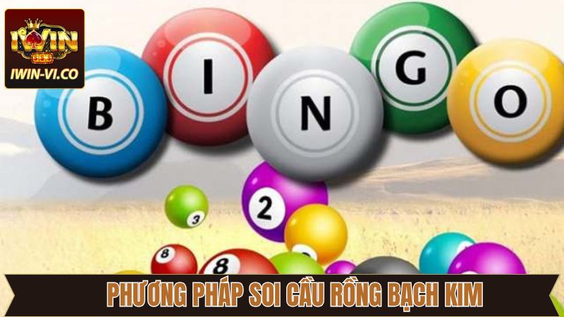 Sử dụng rồng bạch kim theo khung đề