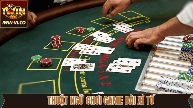 Thuật ngữ cần nắm trước khi đặt cược tiền