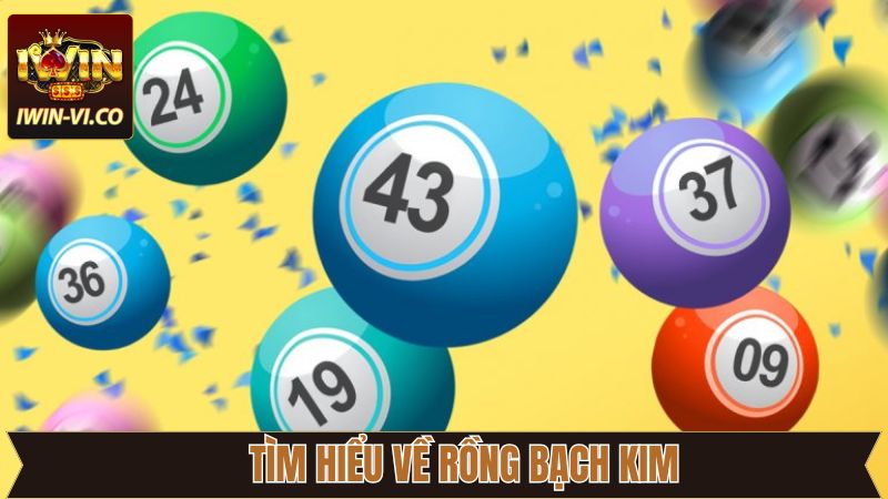 Vài điều cơ bản về khái niệm hình thức soi cầu