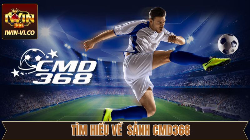 Tìm hiểu thông tin chung về sảnh thể thao CMD368