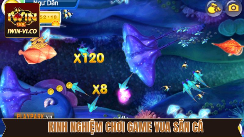 Kinh nghiệm vàng để có kho báu từ đại dương