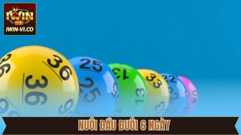 Nuôi Đầu Đuôi 6 Ngày - Bí Quyết Bắt Số Cực Chuẩn Cùng Iwin